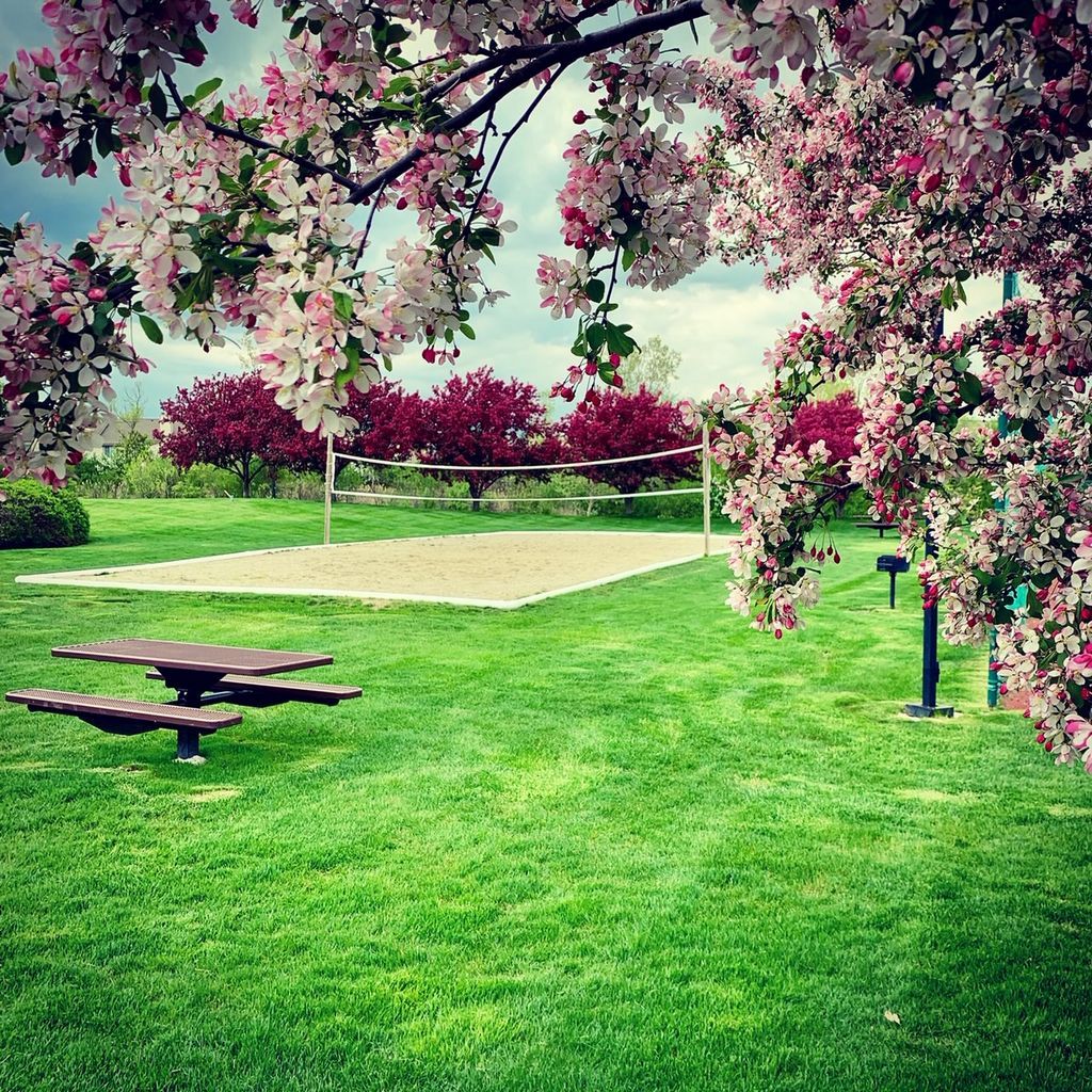 Photos and Video of The Emerson Apartments in Ann Arbor, MI